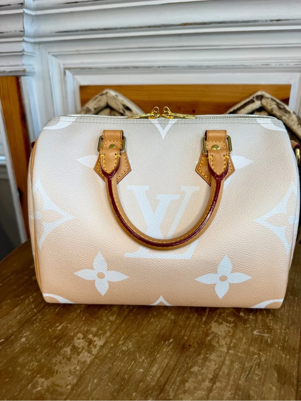 Louis Vuitton Speedy 25 By the Pool in Mist Speedy Bandoulière